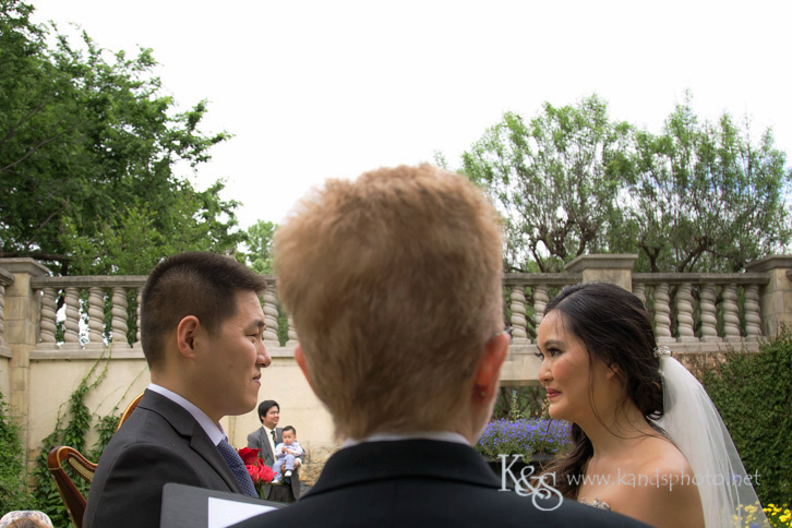 dallas chinese wedding photographer